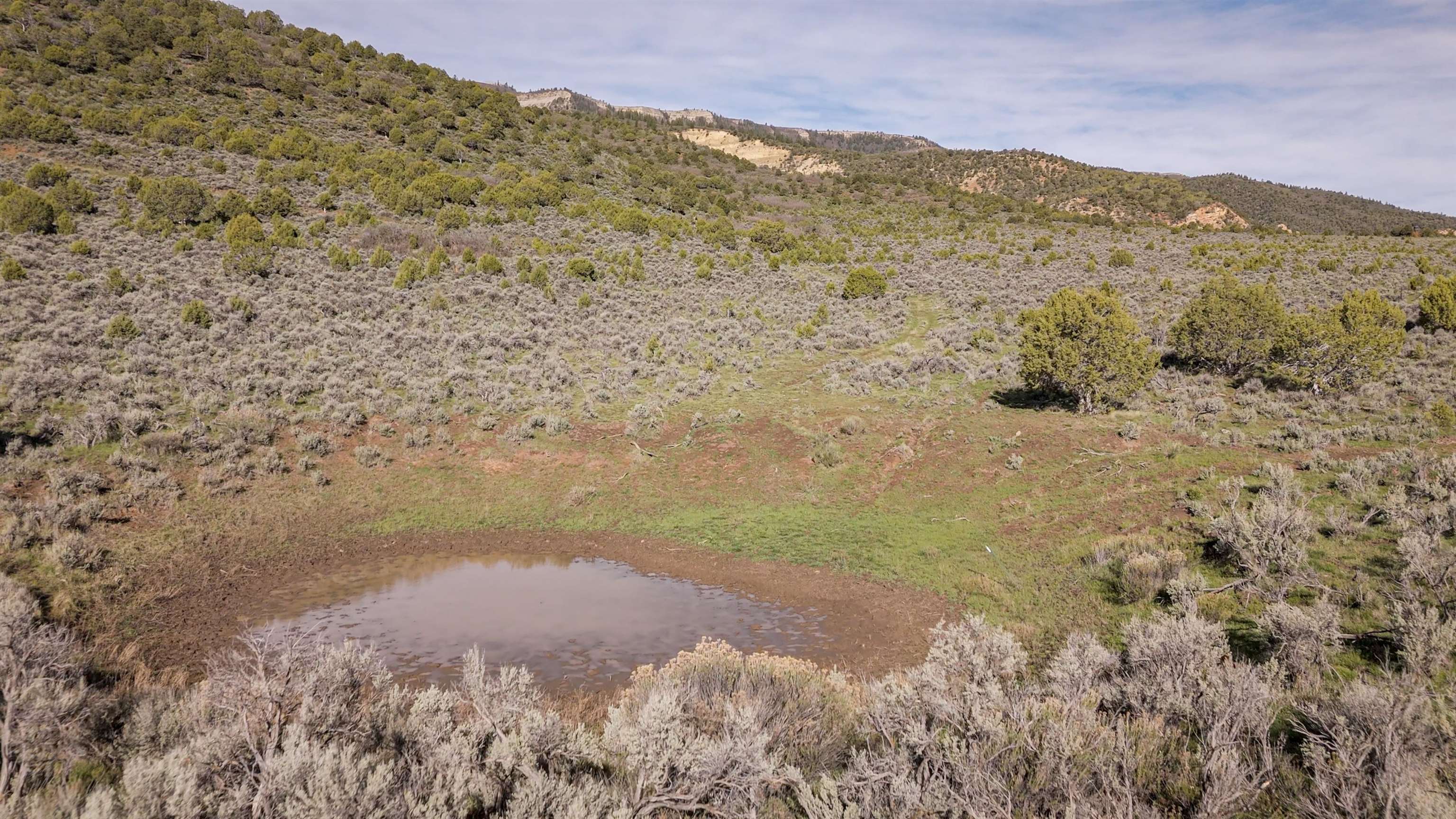 11799 Highway 13 Rifle Co 81650 Rifle, CO 81650 - Photo 15 of 42