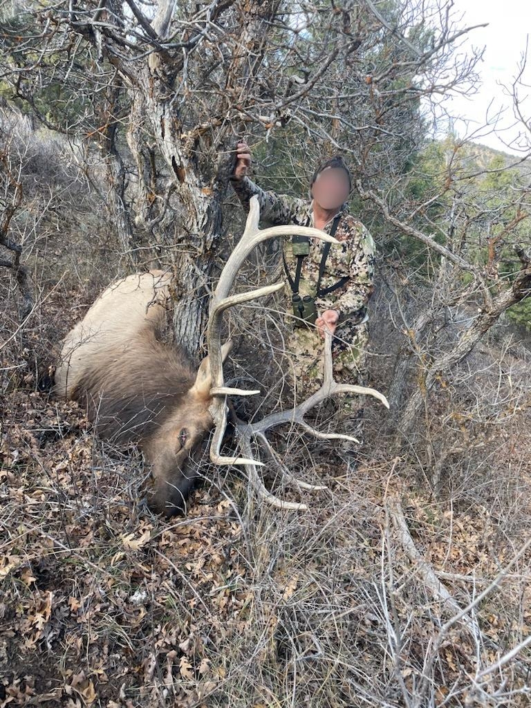 11799 Highway 13 Rifle Co 81650 Rifle, CO 81650 - Photo 20 of 42