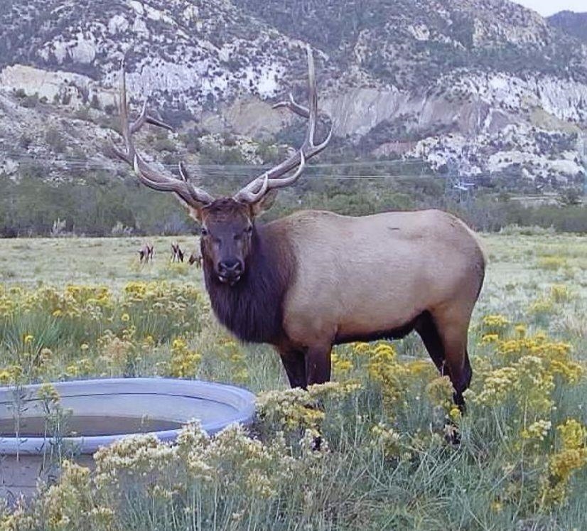 11799 Highway 13 Rifle Co 81650 Rifle, CO 81650 - Photo 23 of 42