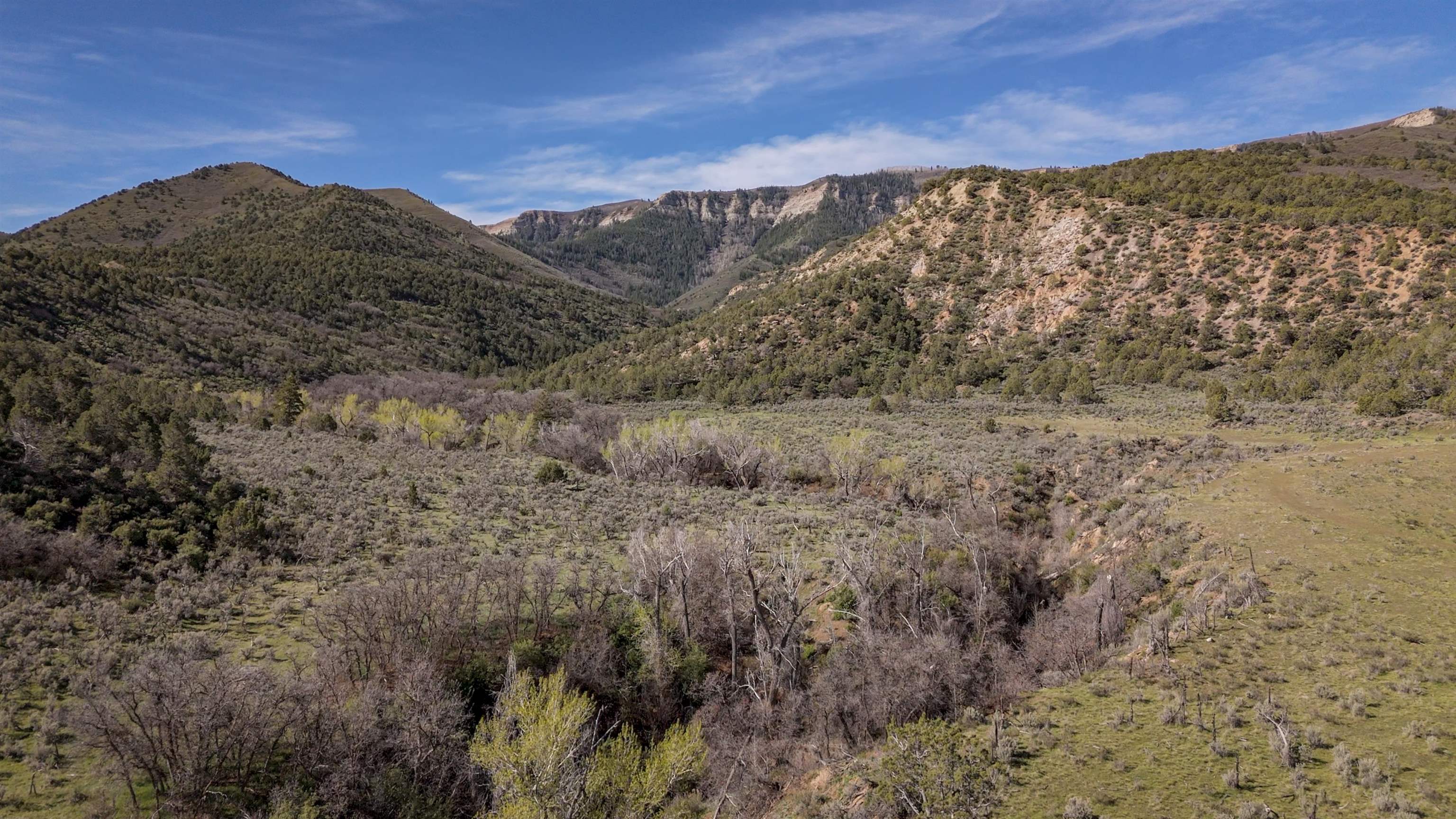 11799 Highway 13 Rifle Co 81650 Rifle, CO 81650 - Photo 25 of 42