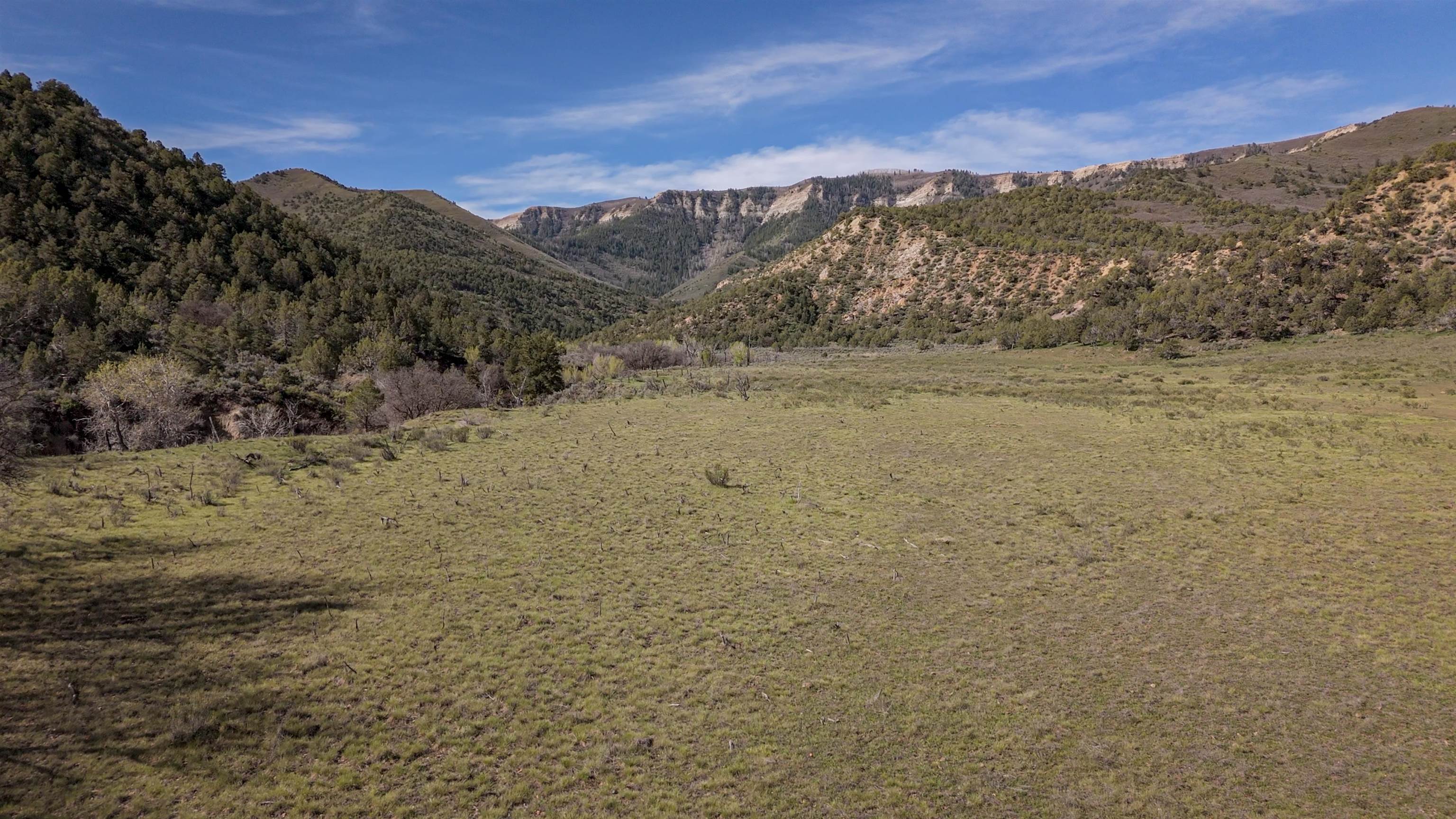 11799 Highway 13 Rifle Co 81650 Rifle, CO 81650 - Photo 26 of 42