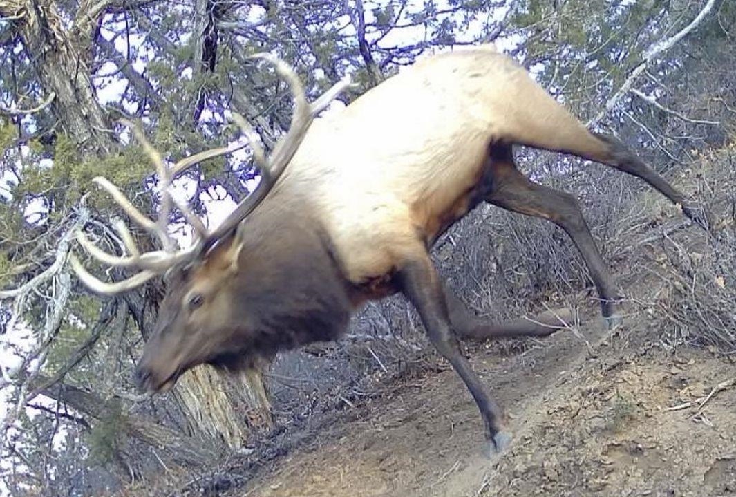 11799 Highway 13 Rifle Co 81650 Rifle, CO 81650 - Photo 28 of 42