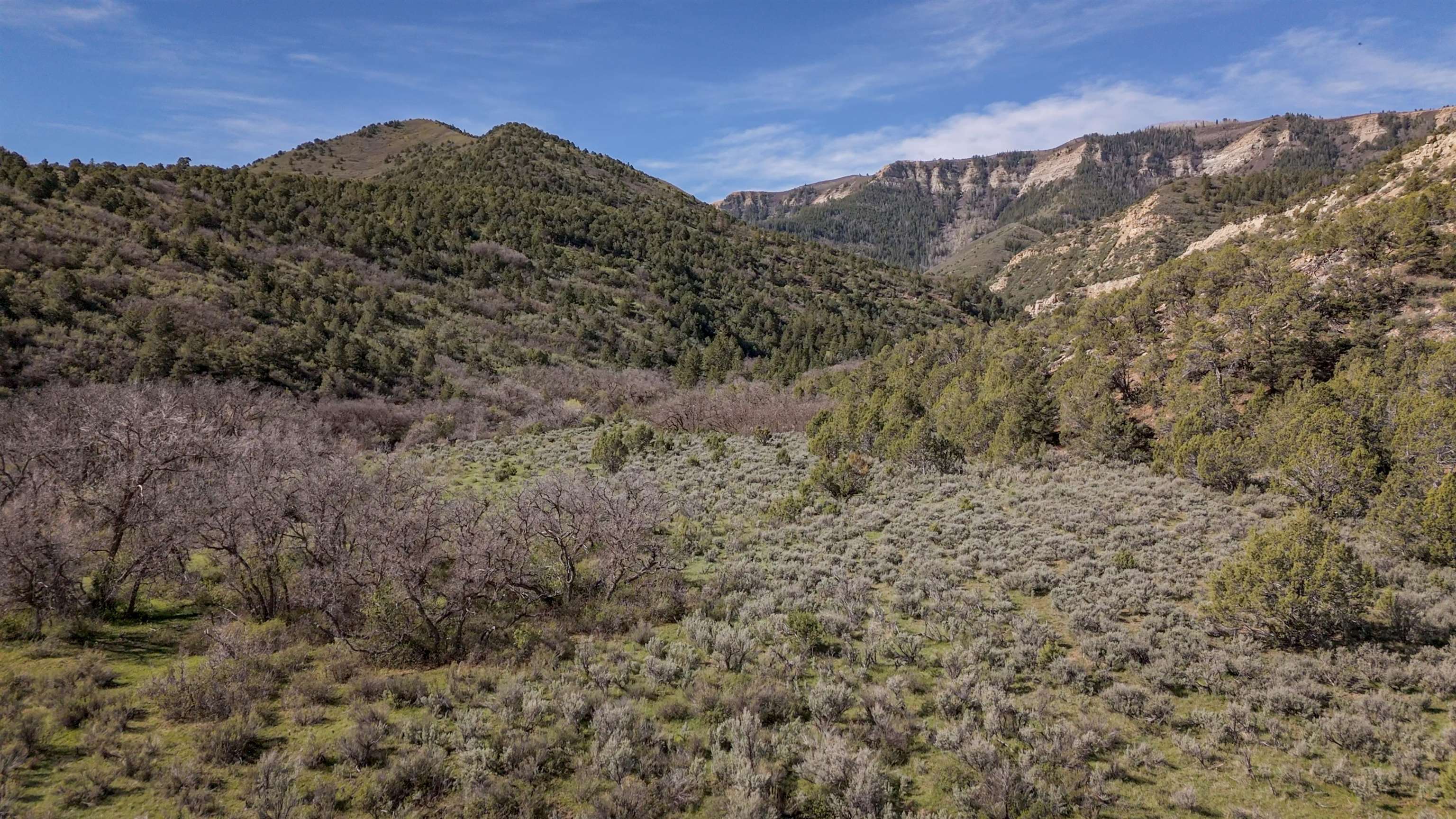 11799 Highway 13 Rifle Co 81650 Rifle, CO 81650 - Photo 29 of 42