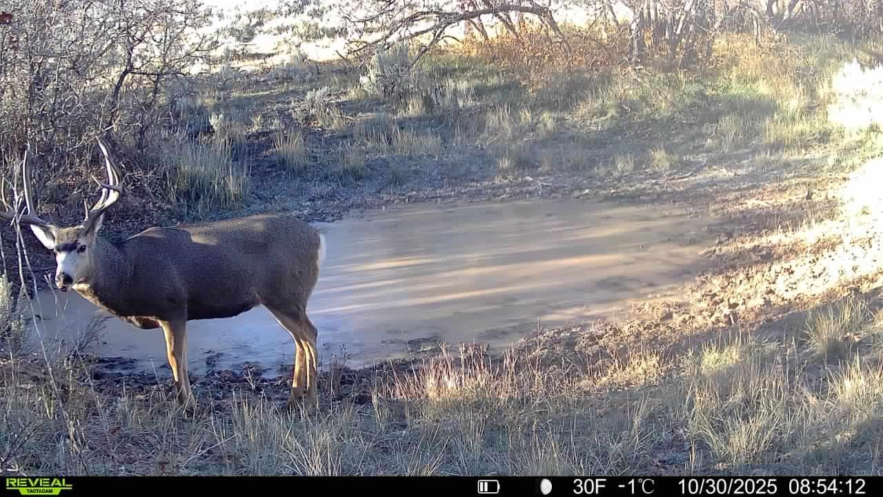 11799 Highway 13 Rifle Co 81650 Rifle, CO 81650 - Photo 30 of 42