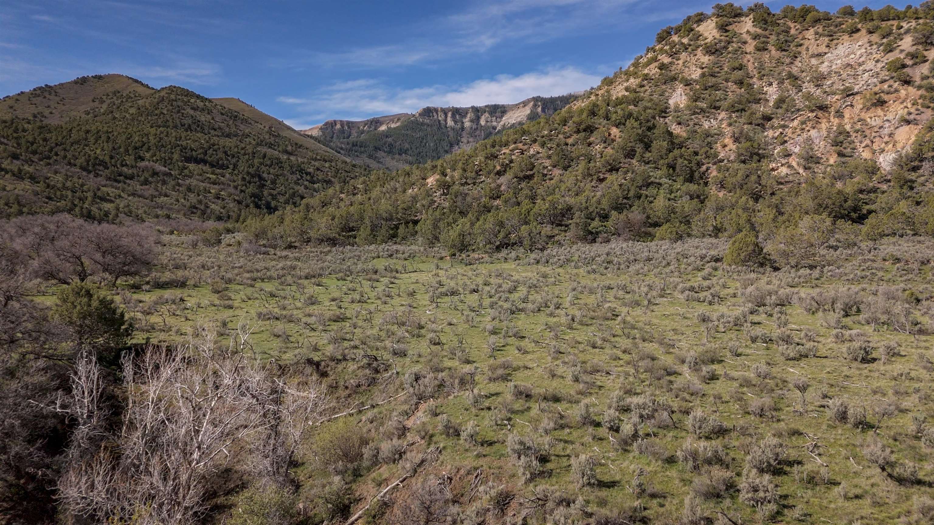 11799 Highway 13 Rifle Co 81650 Rifle, CO 81650 - Photo 31 of 42