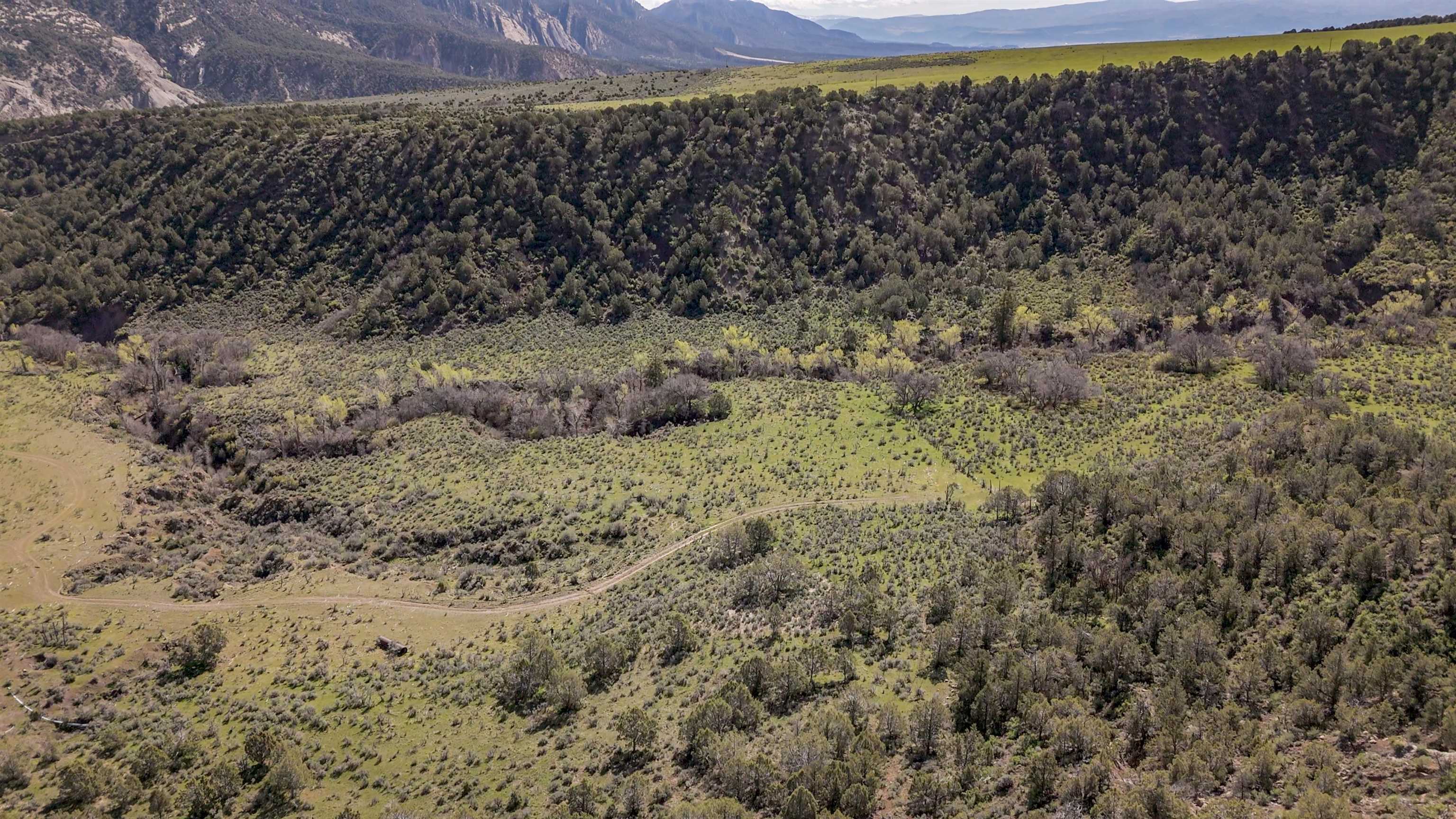 11799 Highway 13 Rifle Co 81650 Rifle, CO 81650 - Photo 32 of 42