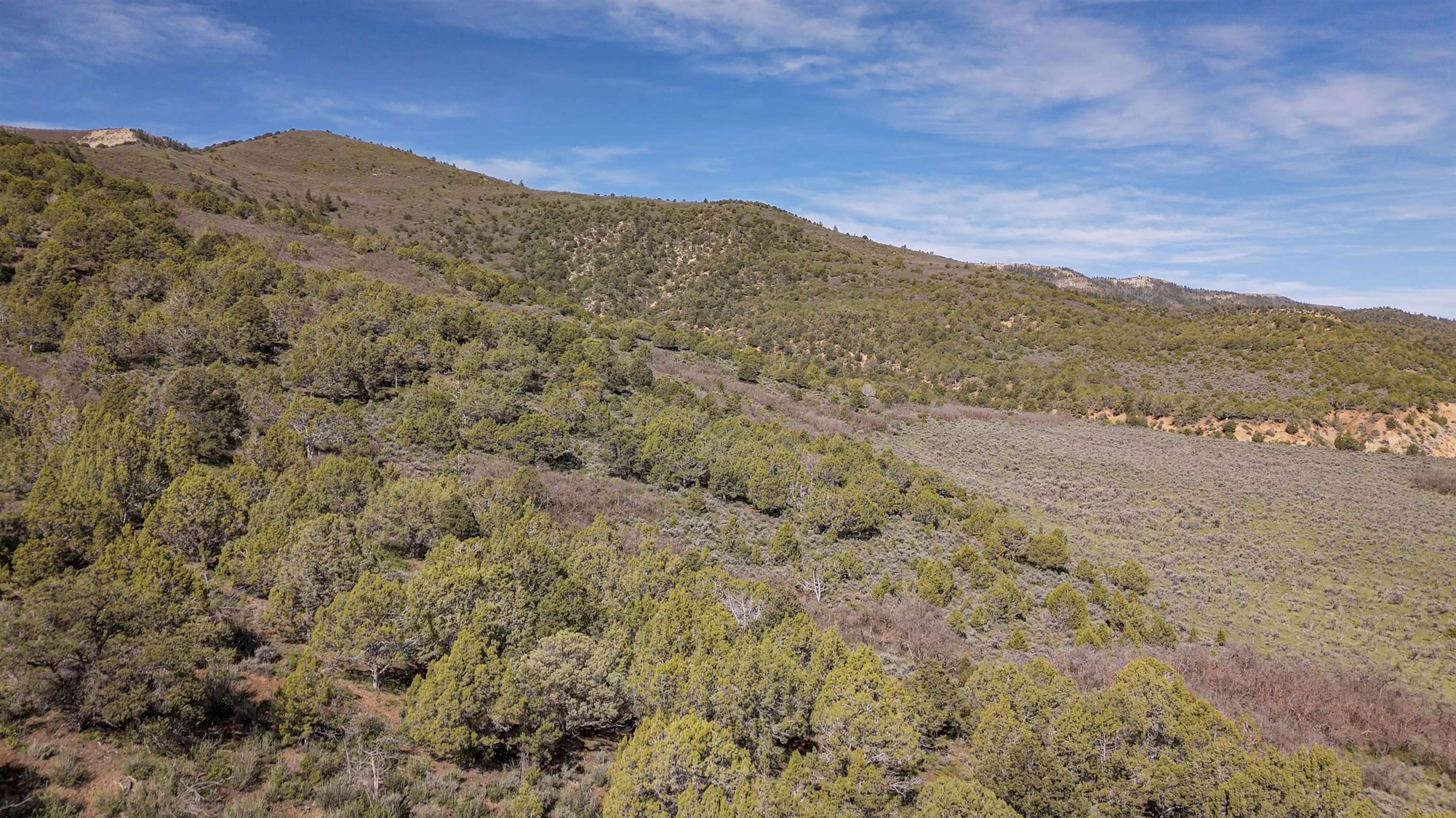 11799 Highway 13 Rifle Co 81650 Rifle, CO 81650 - Photo 34 of 42