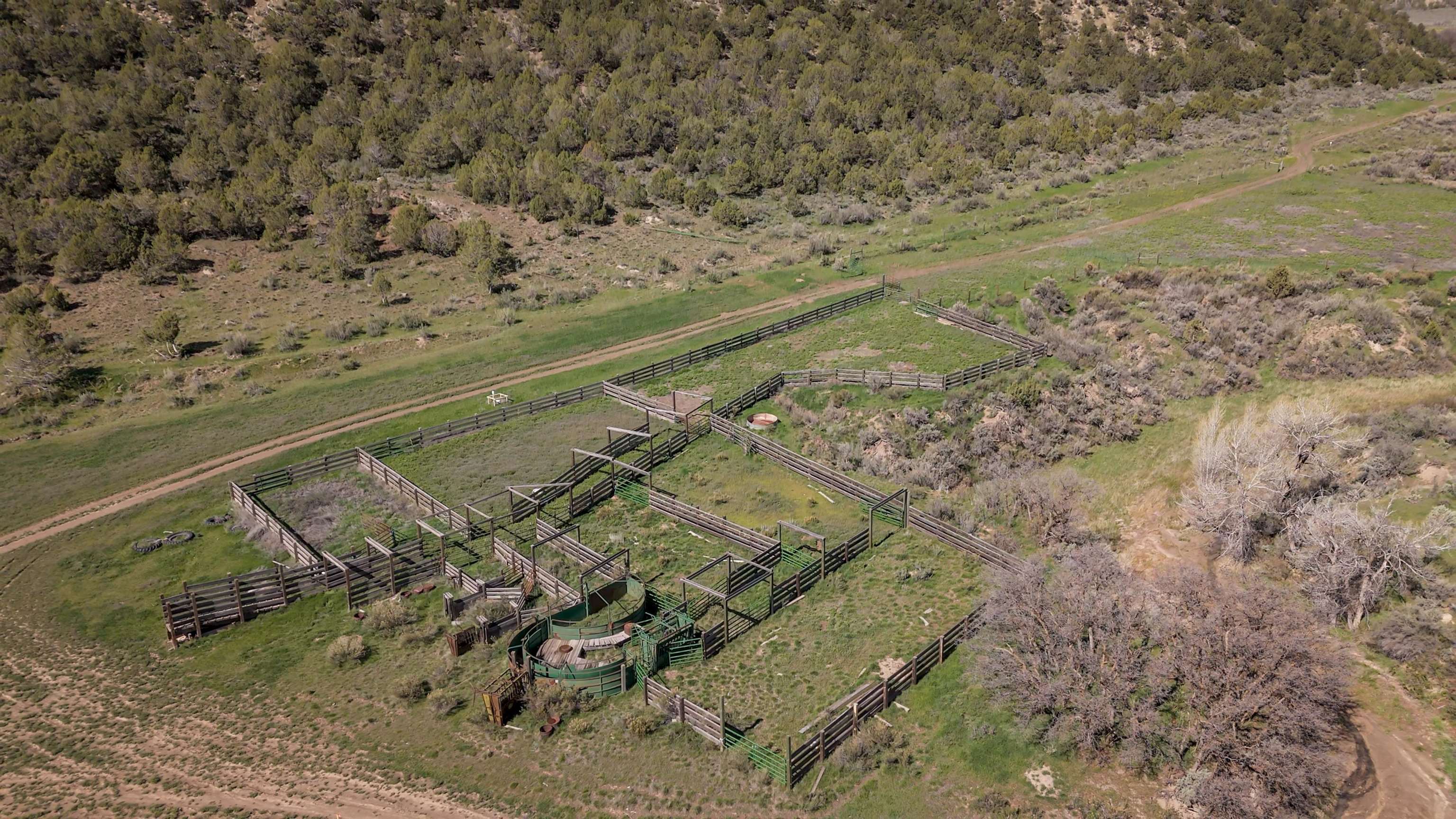 11799 Highway 13 Rifle Co 81650 Rifle, CO 81650 - Photo 36 of 42