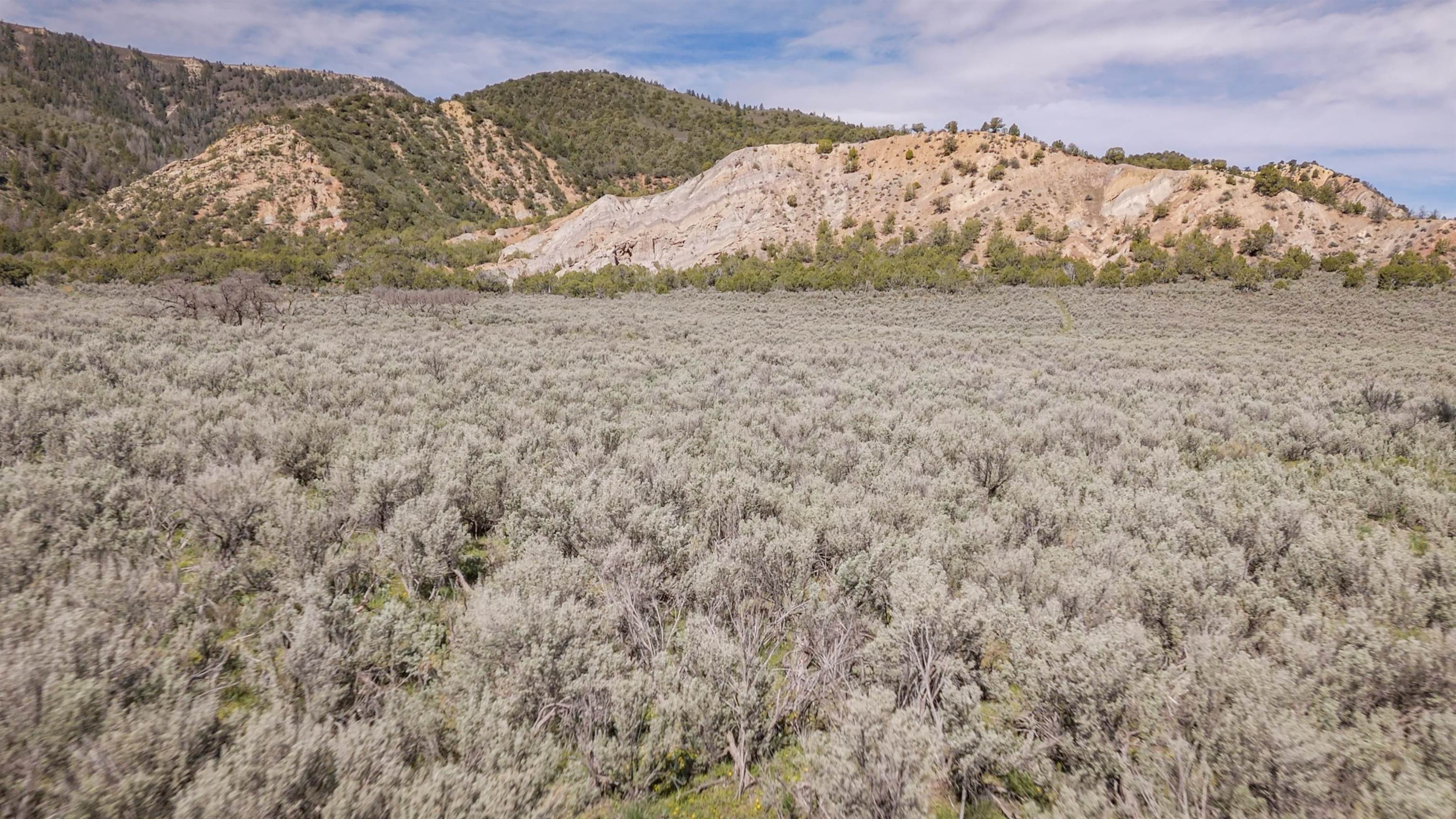 11799 Highway 13 Rifle Co 81650 Rifle, CO 81650 - Photo 37 of 42