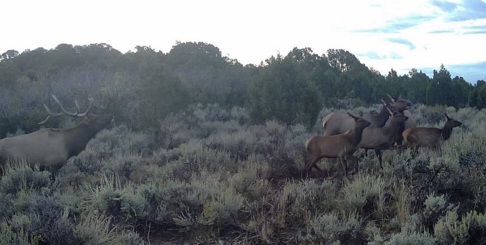 11799 Highway 13 Rifle Co 81650 Rifle, CO 81650 - Photo 39 of 42