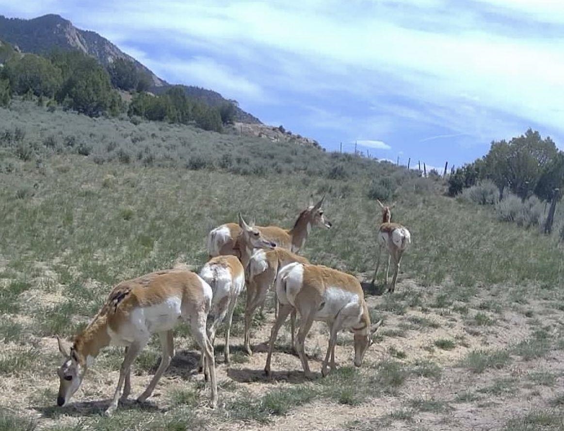 11799 Highway 13 Rifle Co 81650 Rifle, CO 81650 - Photo 40 of 42