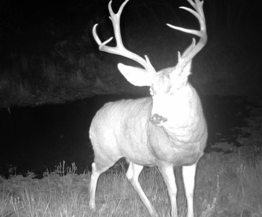 11799 Highway 13 Rifle Co 81650 Rifle, CO 81650 - Photo 42 of 42