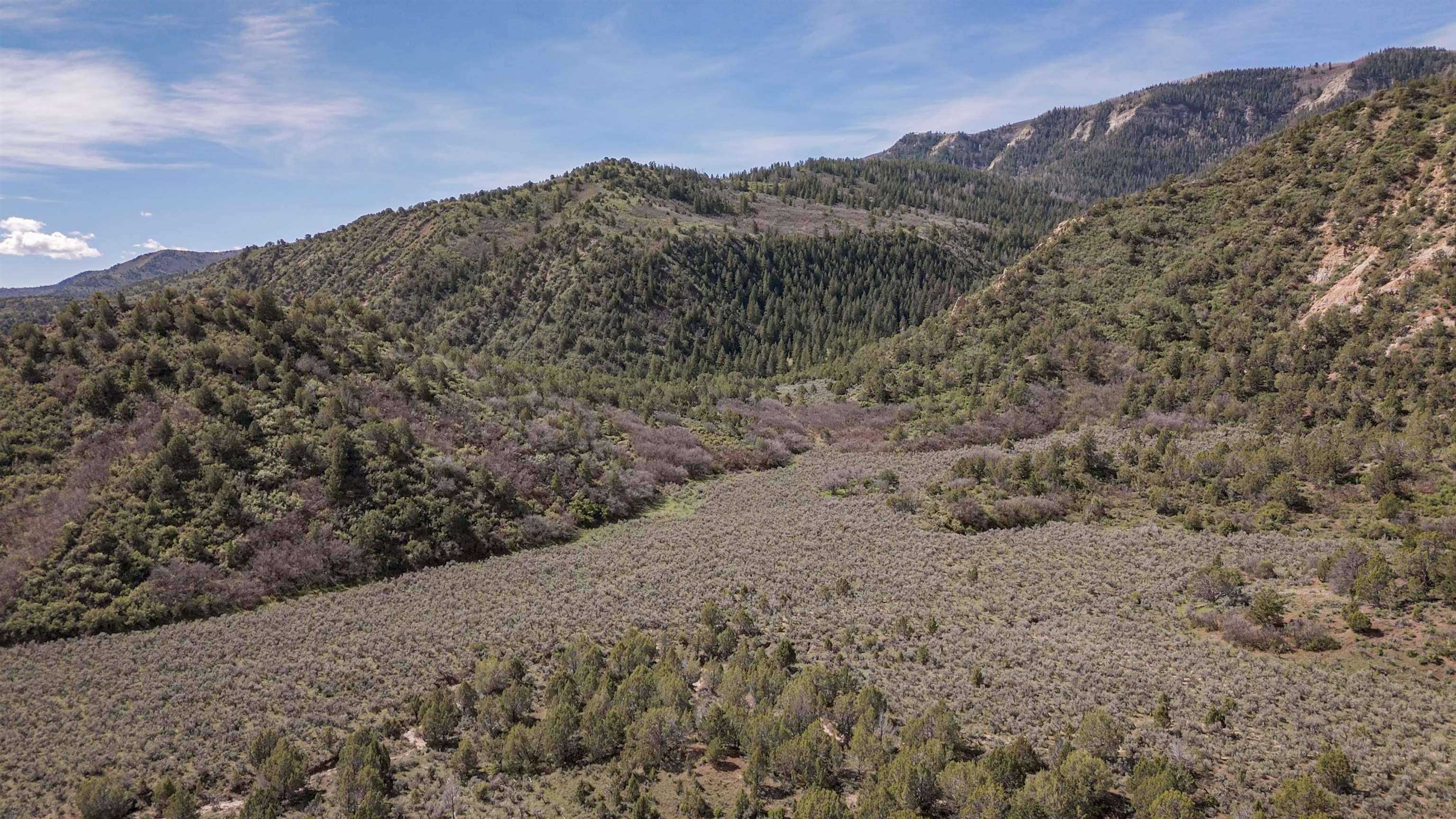 11799 Highway 13 Rifle Co 81650 Rifle, CO 81650 - Photo 5 of 42