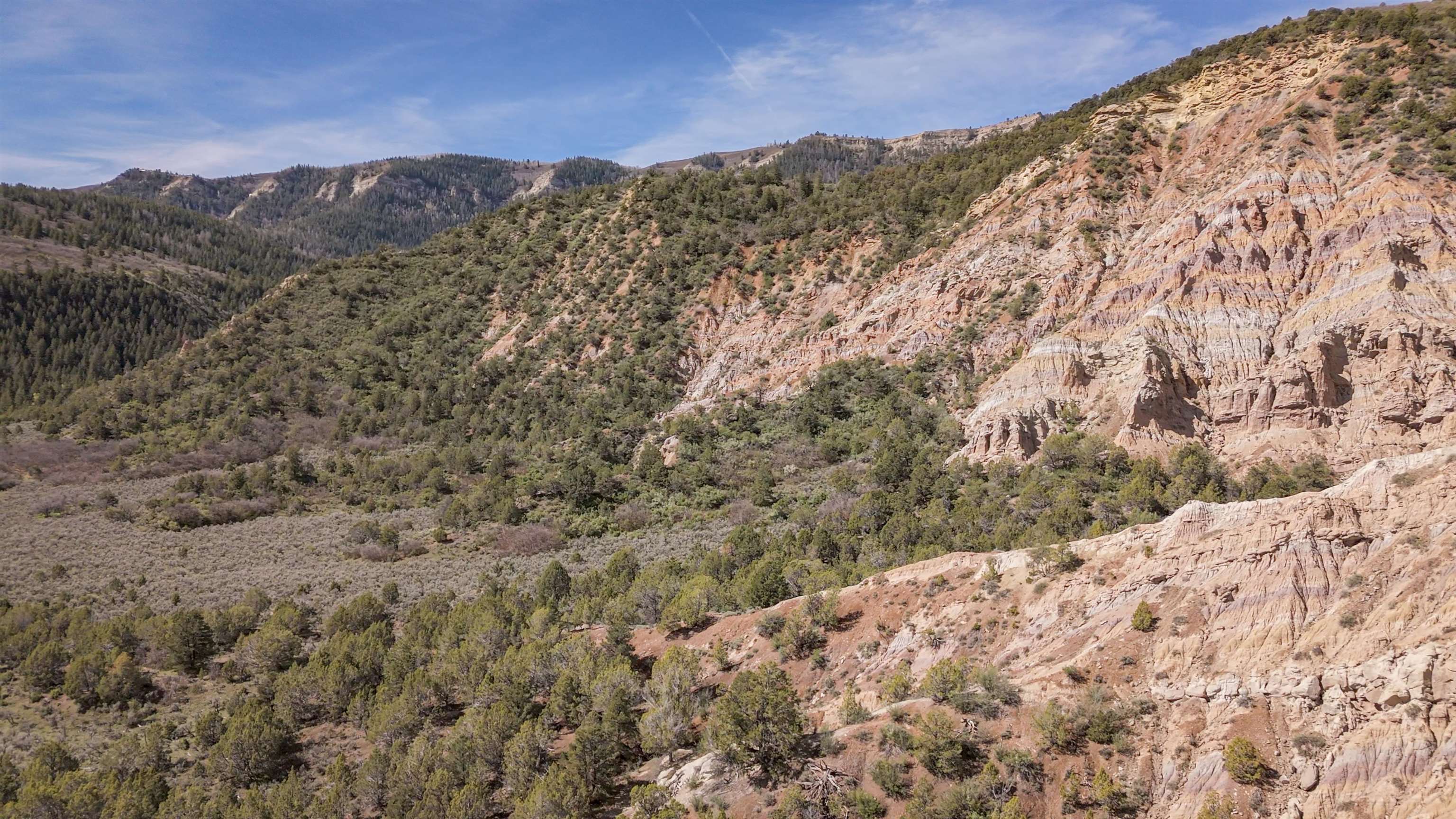 11799 Highway 13 Rifle Co 81650 Rifle, CO 81650 - Photo 6 of 42