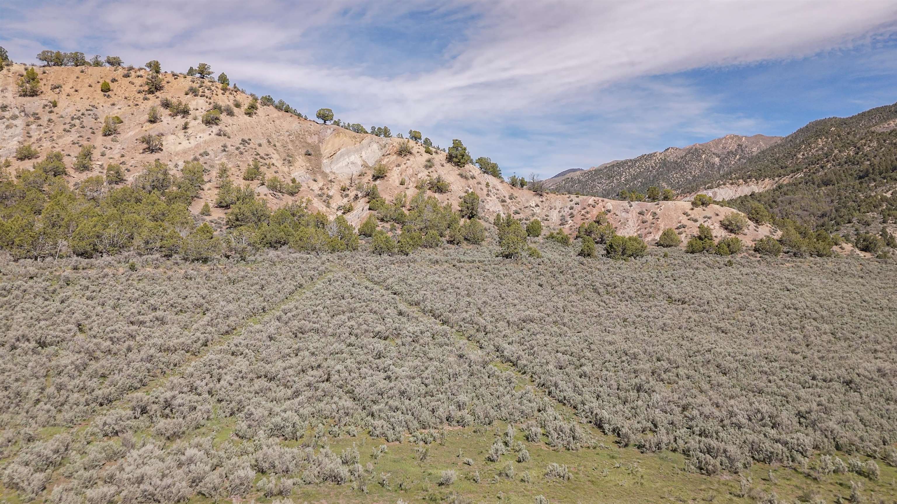 11799 Highway 13 Rifle Co 81650 Rifle, CO 81650 - Photo 8 of 42