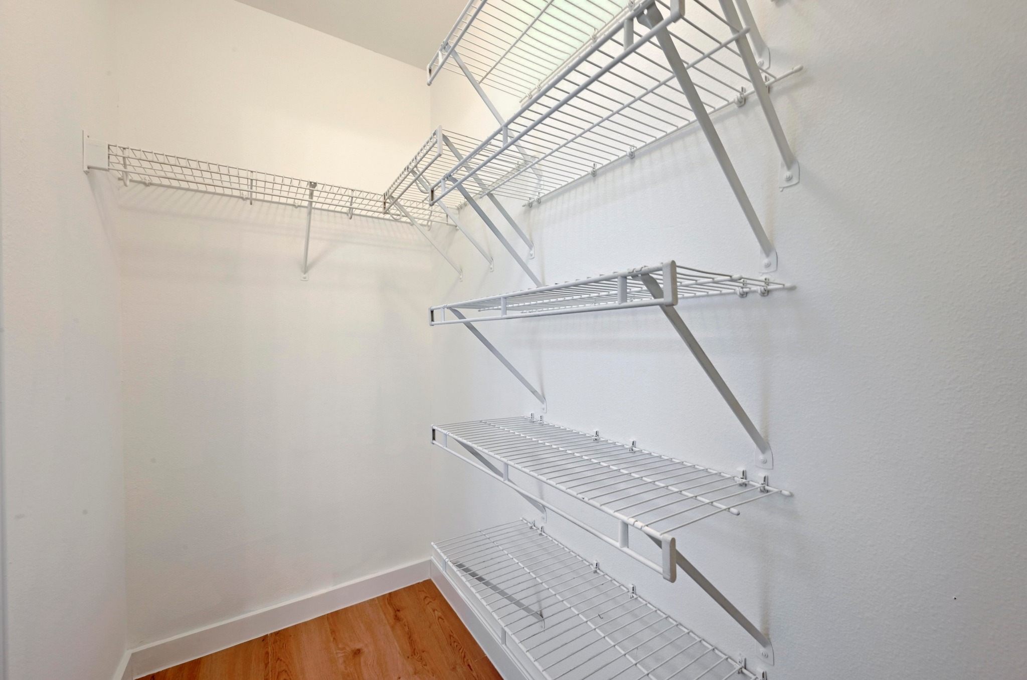 11106 Franklins Tale Loop Austin, TX 78748 - Photo 17 of 25 Walk in closet featuring light wood-type flooring