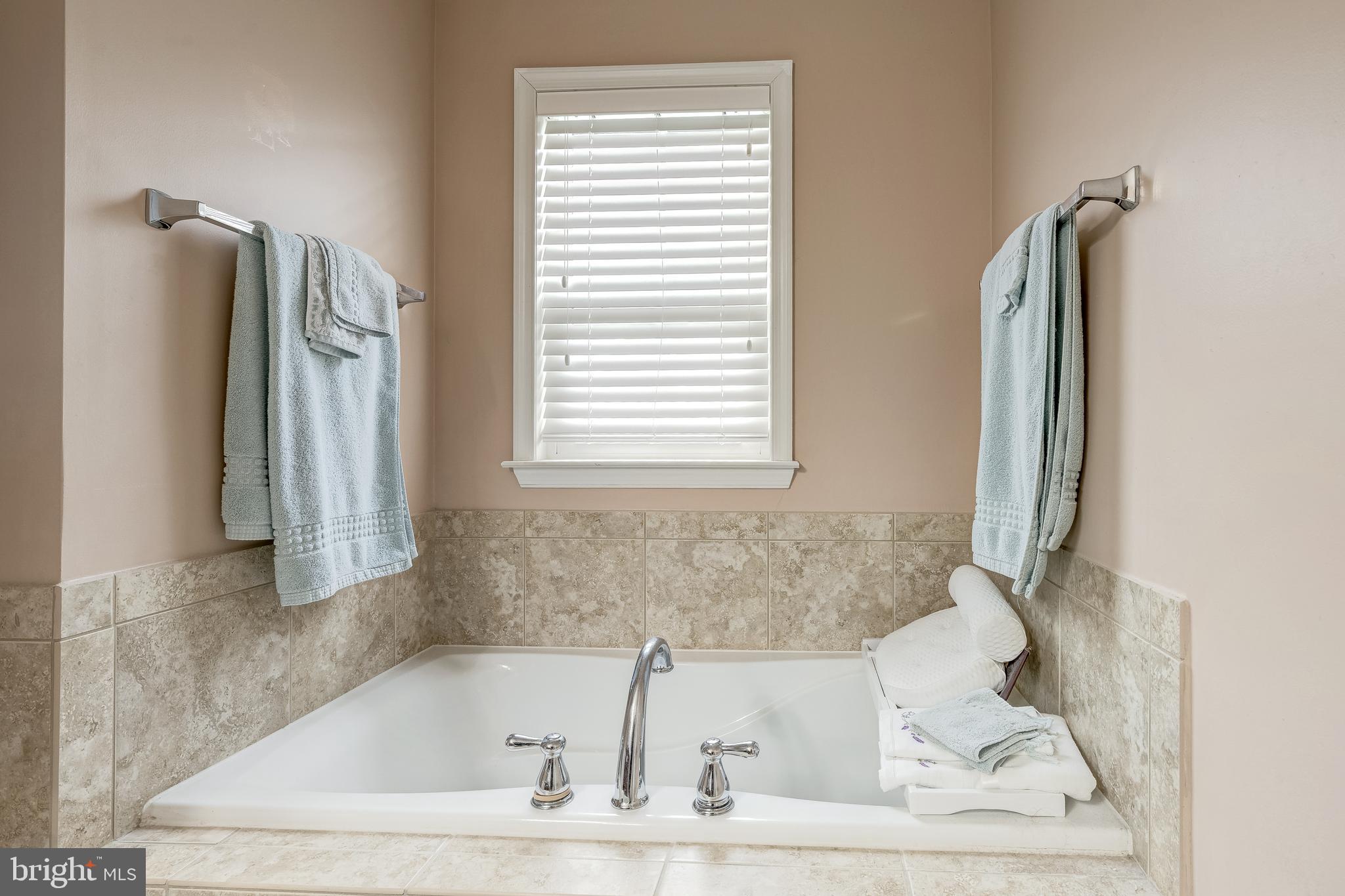 22644 Amberjack Square Brambleton, VA 20148 - Photo 25 of 34 a bath tub sitting in a bathroom next to a window