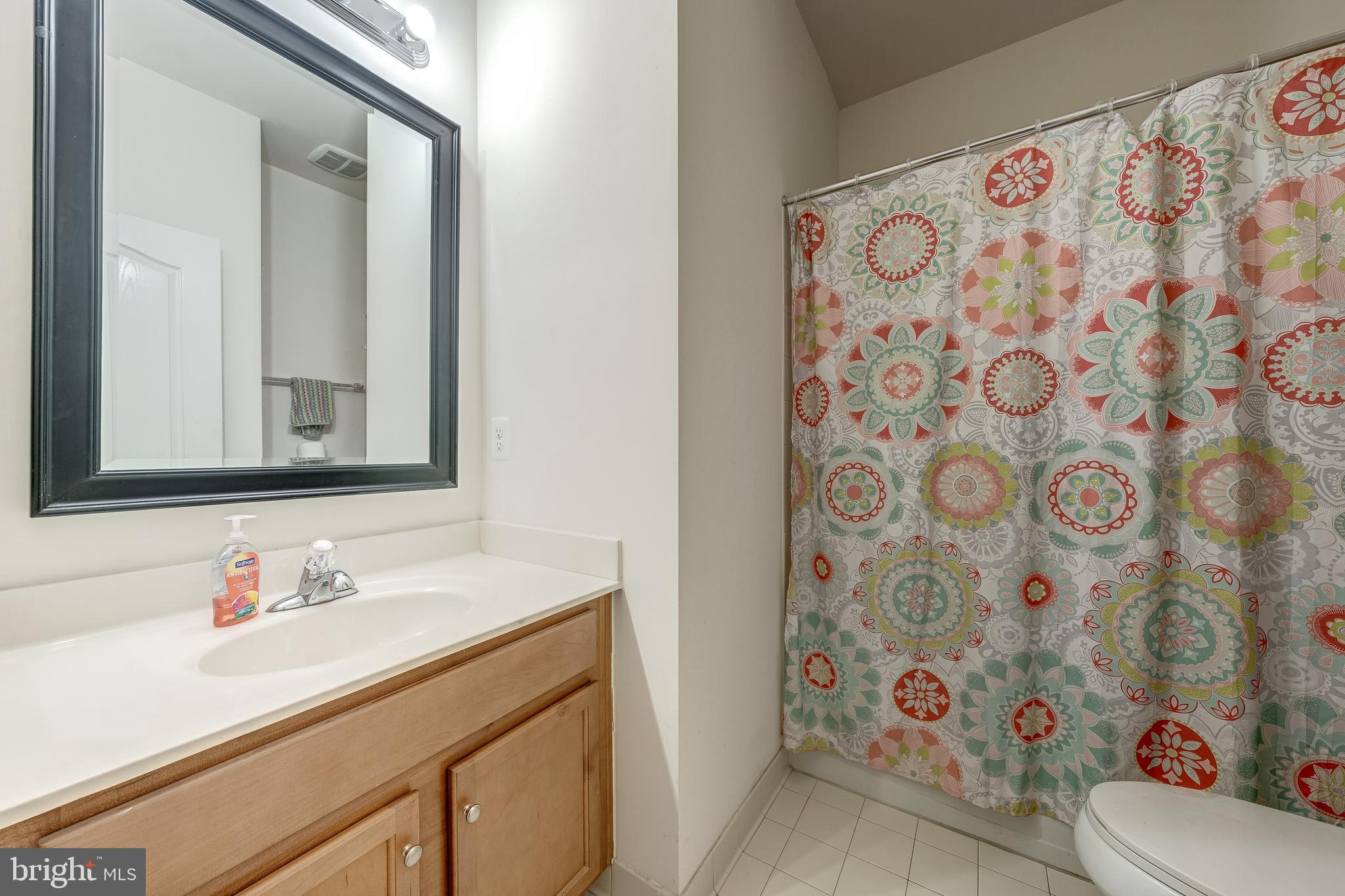 22644 Amberjack Square Brambleton, VA 20148 - Photo 32 of 34 a bathroom with a sink and a mirror