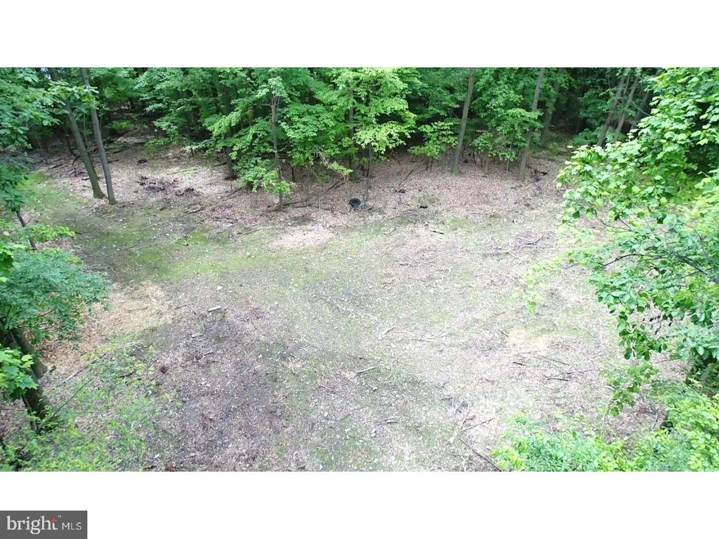 Lot 2 Grings Hill Road Sinking Spring, PA 19608 - Photo 3 of 7 a open area with trees in the background