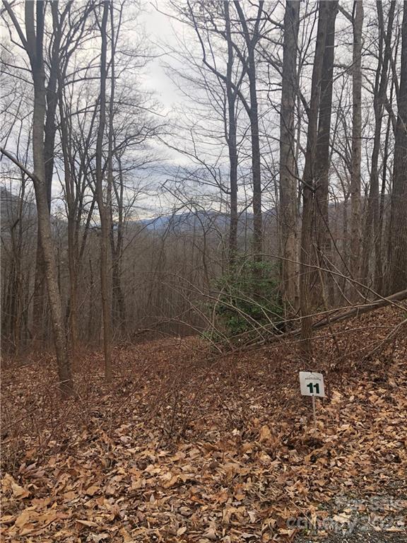 141 Tranquility Ridge Lake Lure, NC 28746 - Photo 2 of 6 a backyard of a house with lots of green space