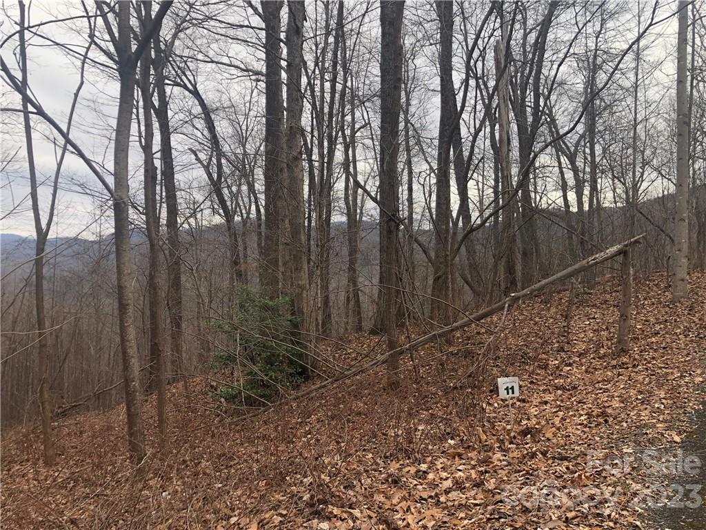 141 Tranquility Ridge Lake Lure, NC 28746 - Photo 3 of 6 a view of backyard with green space