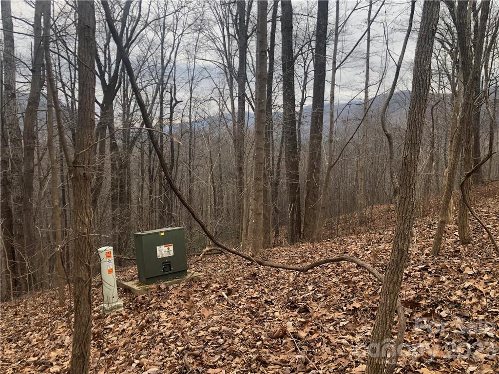 141 Tranquility Ridge Lake Lure, NC 28746 - Photo 4 of 6