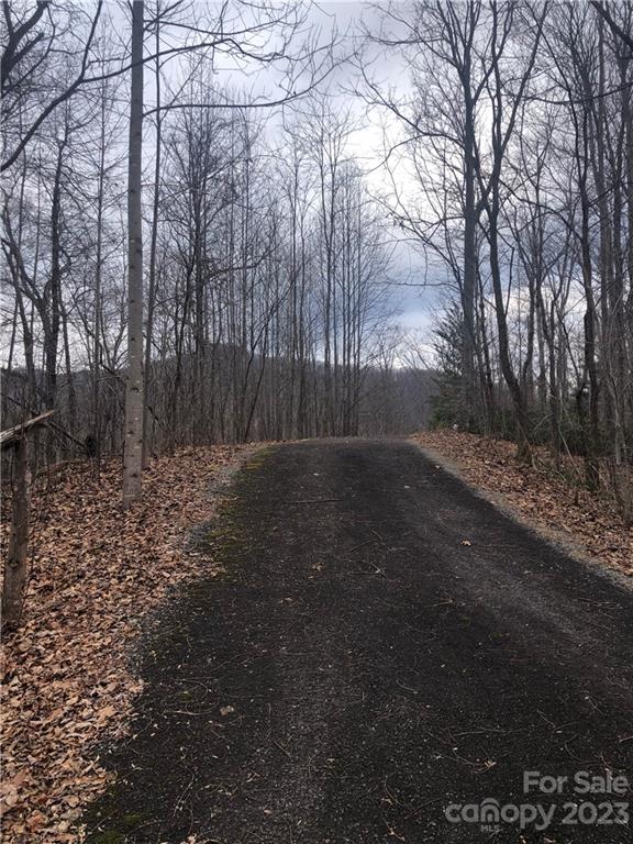 141 Tranquility Ridge Lake Lure, NC 28746 - Photo 6 of 6 a view of backyard with green space