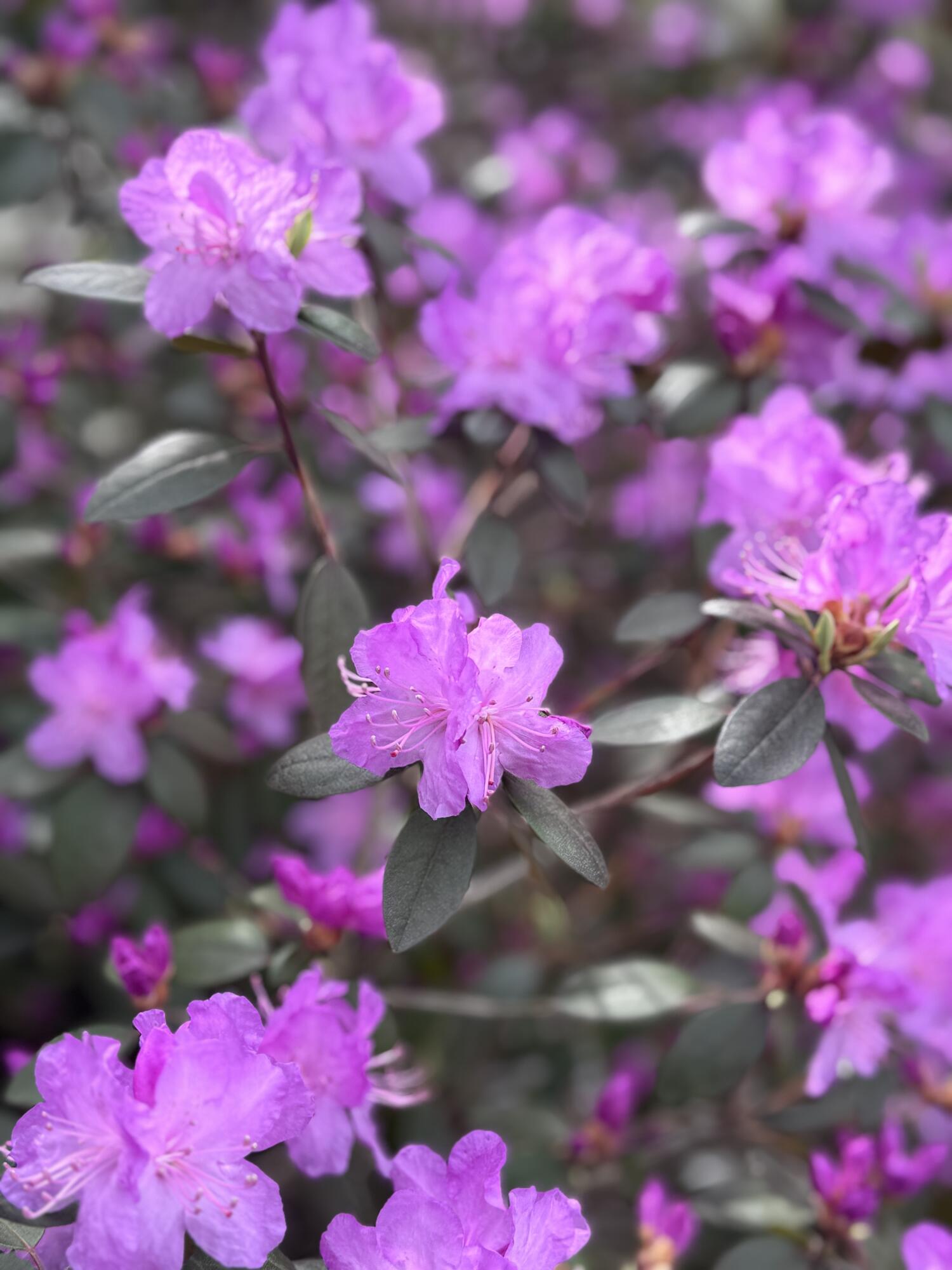 35 Industry Road New Sharon, ME 04955 - Photo 39 of 41 IMG_4096