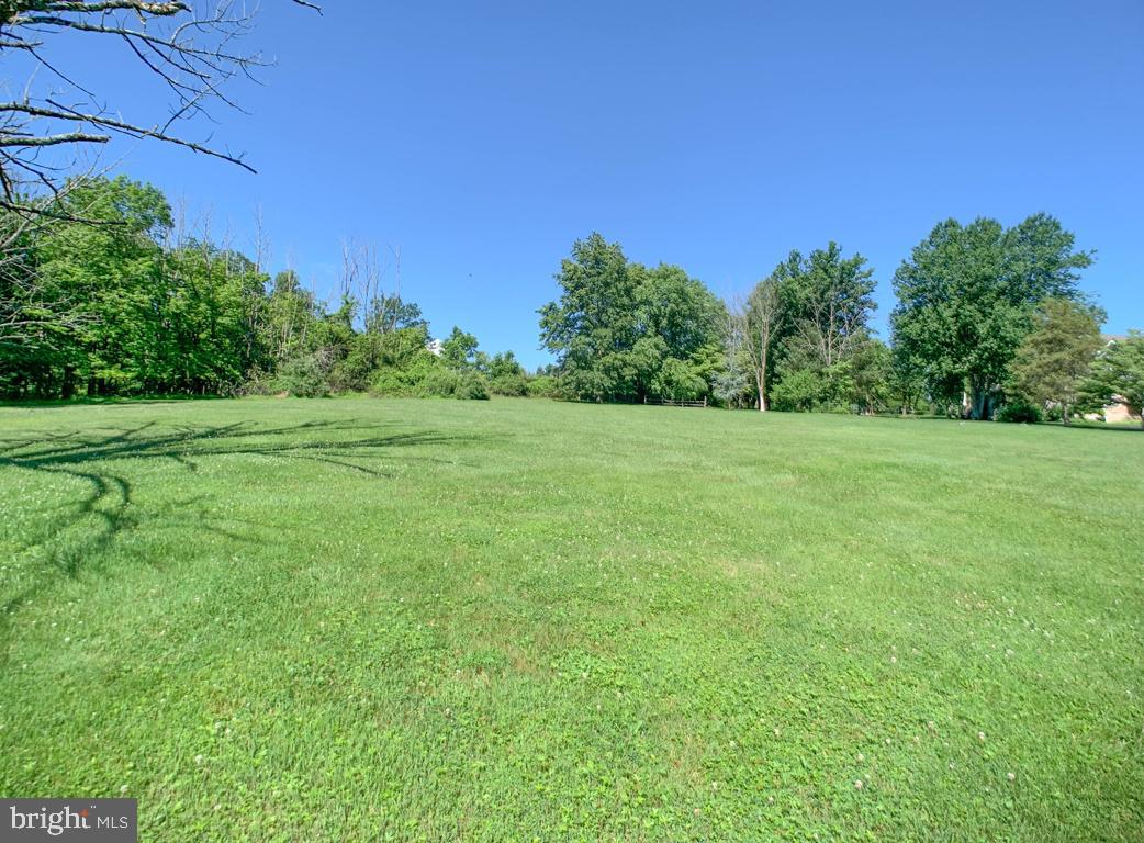 2670 Meetinghouse Road Jamison, PA 18929 - Photo 40 of 42 Back yard