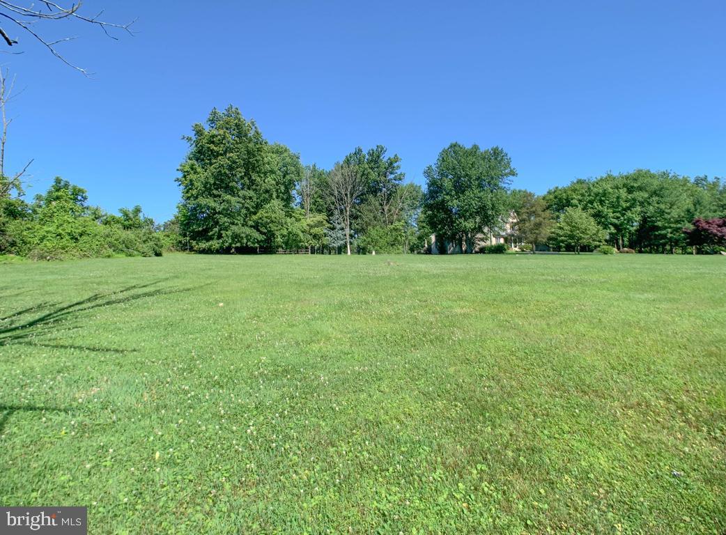 2670 Meetinghouse Road Jamison, PA 18929 - Photo 6 of 42 Back yard