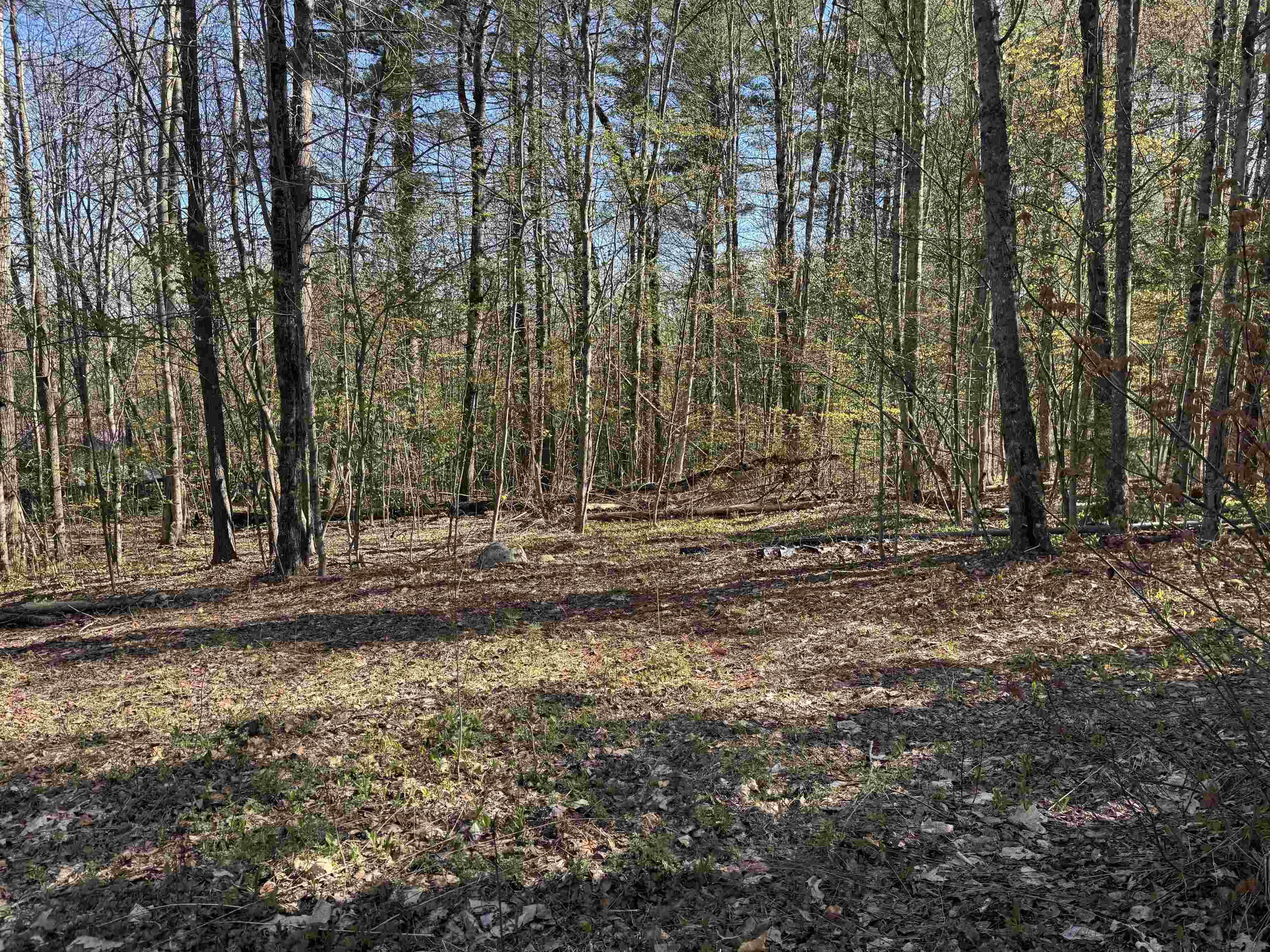 807 Kidder Hood Road Bradford, VT 05033 - Photo 4 of 21