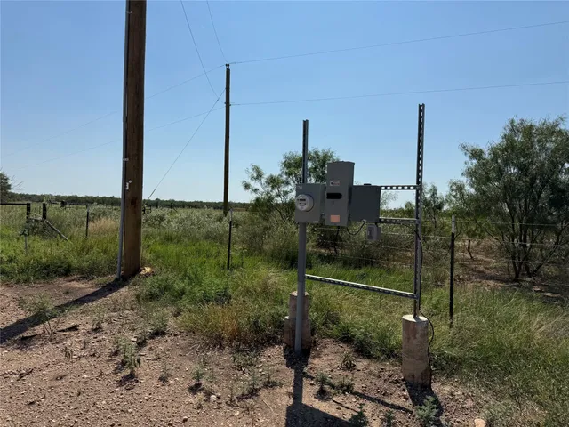 a view of a backyard with trees