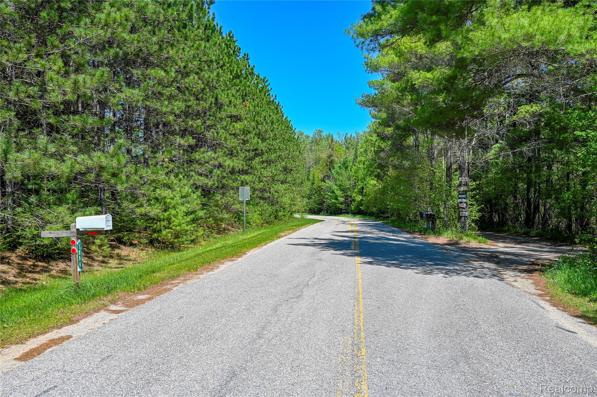 1094 Blamer Road Fairview, MI 48621 - Photo 59 of 97 Paved road frontage with mature pine trees and lush green foliage bordering the property