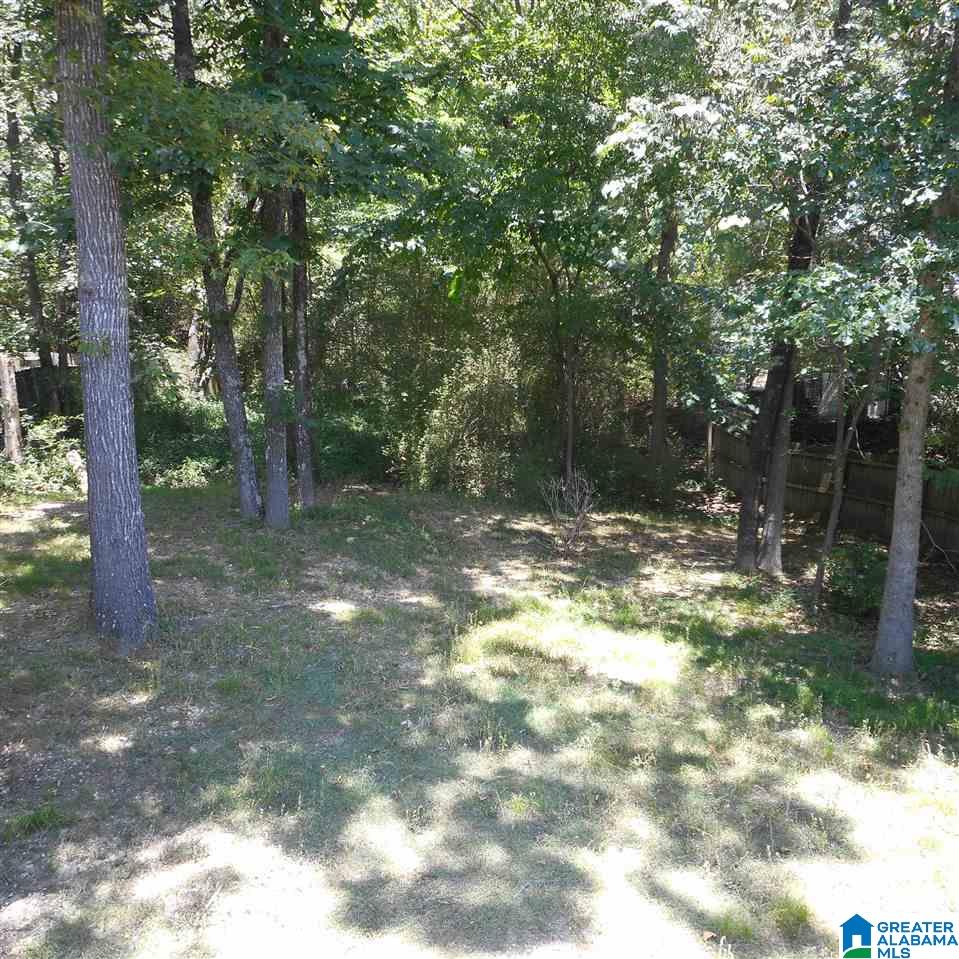 109 Yachtsman Street Alabaster, AL 35007 - Photo 17 of 44