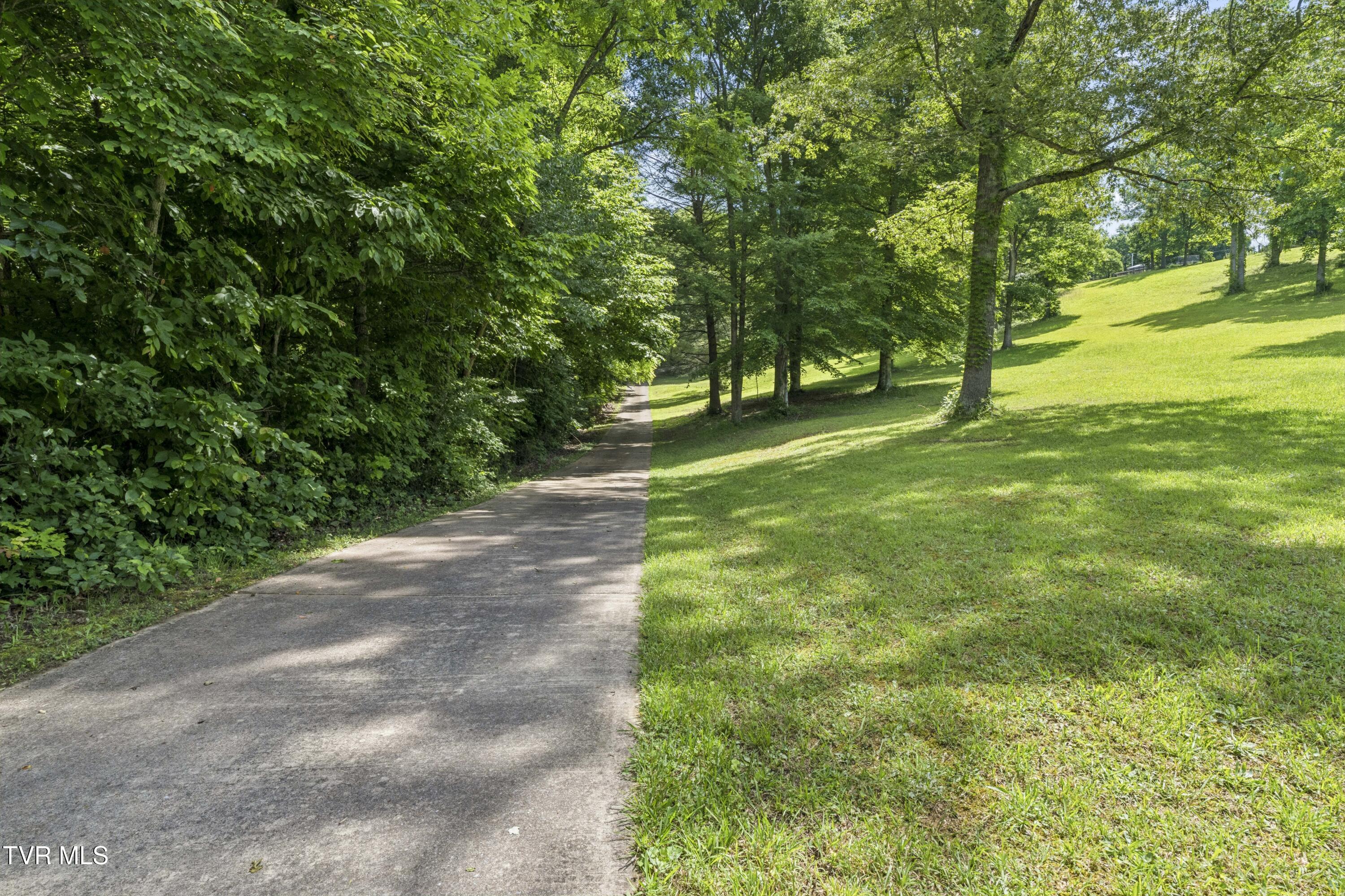 1820 Frank Roberts Road Afton, TN 37616 - Photo 57 of 73 Frank2-3