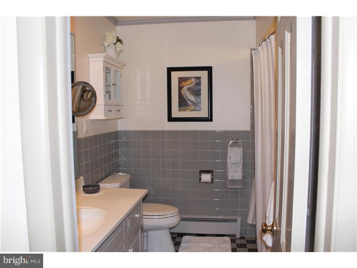 129 Oberlin Avenue Sinking Spring, PA 19608 - Photo 11 of 23 Bathroom