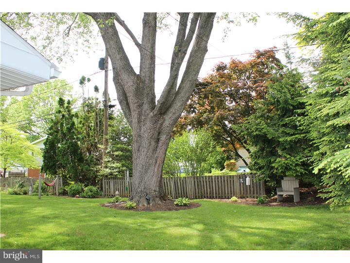 129 Oberlin Avenue Sinking Spring, PA 19608 - Photo 20 of 23 Exterior Back