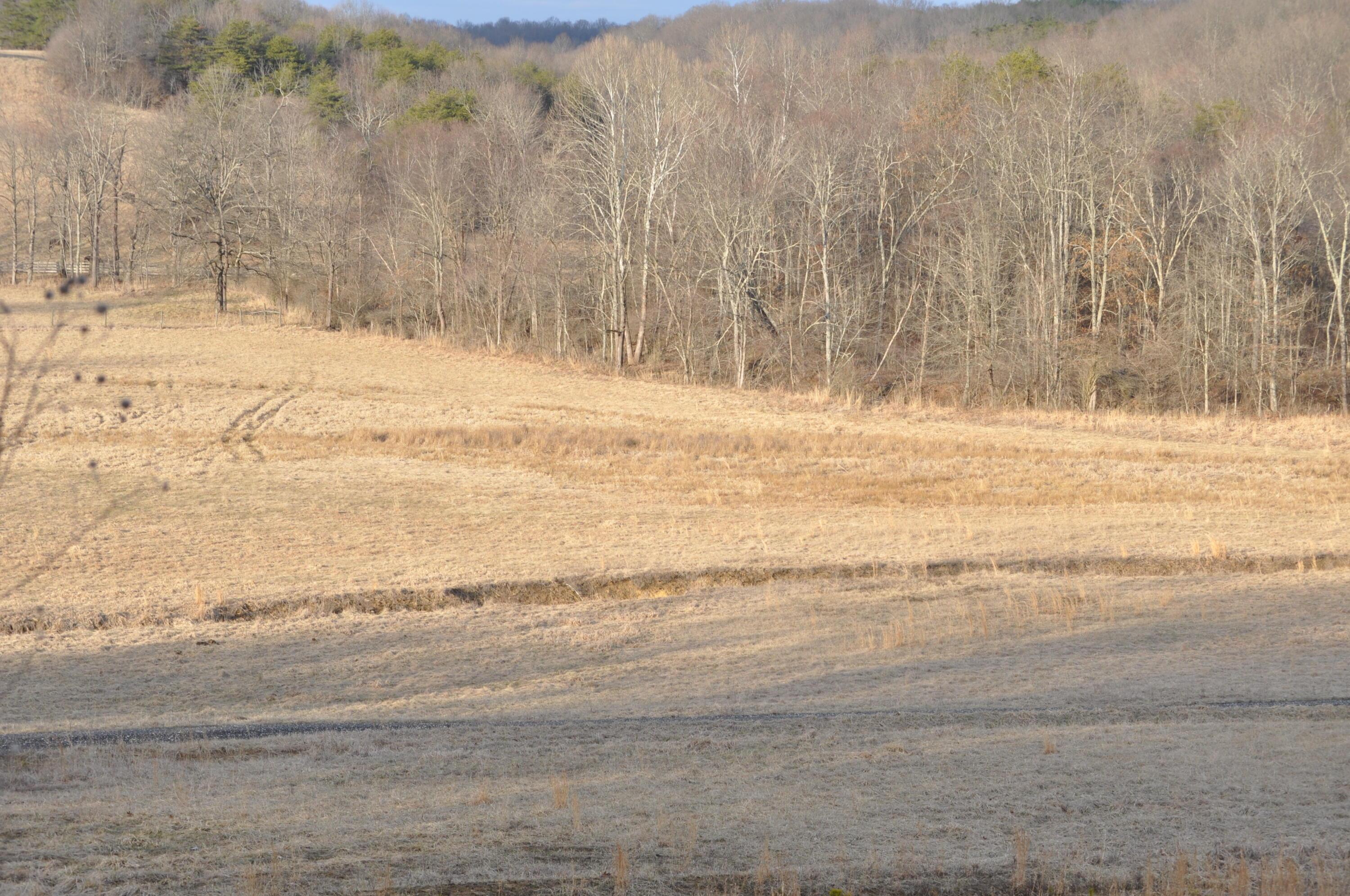 22808 Griffith Road Logan, OH 43138 - Photo 9 of 28 DSC_0259