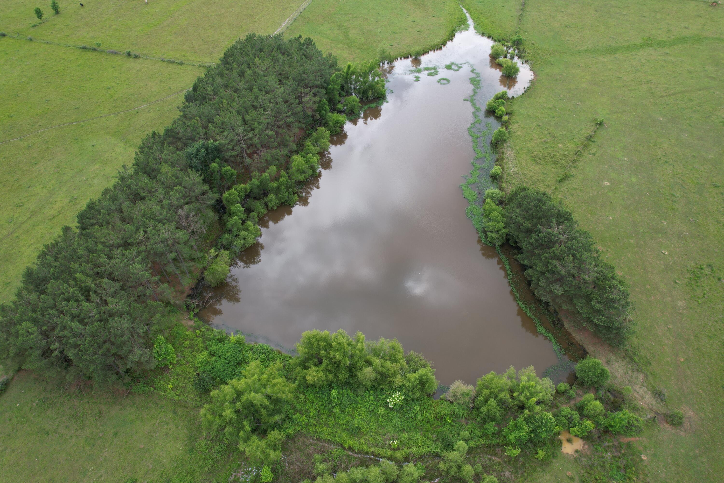 4547 Salmon Road Pontotoc, MS 38863 - Photo 45 of 61 image00009