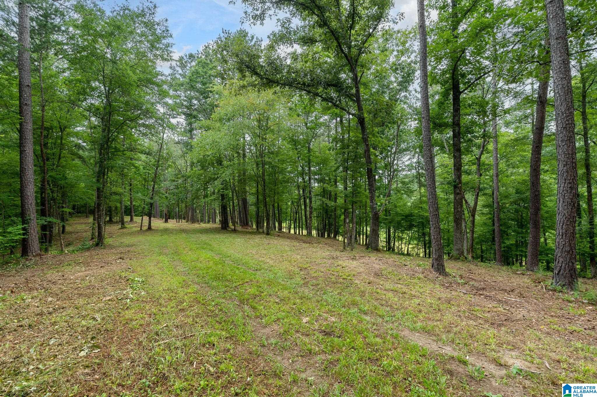 174 Martin Lane, Unit 1A Helena, AL 35080 - Photo 4 of 19