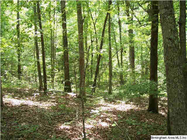0 Powell Road, Unit 80 AC Remlap, AL 35133 - Photo 3 of 5