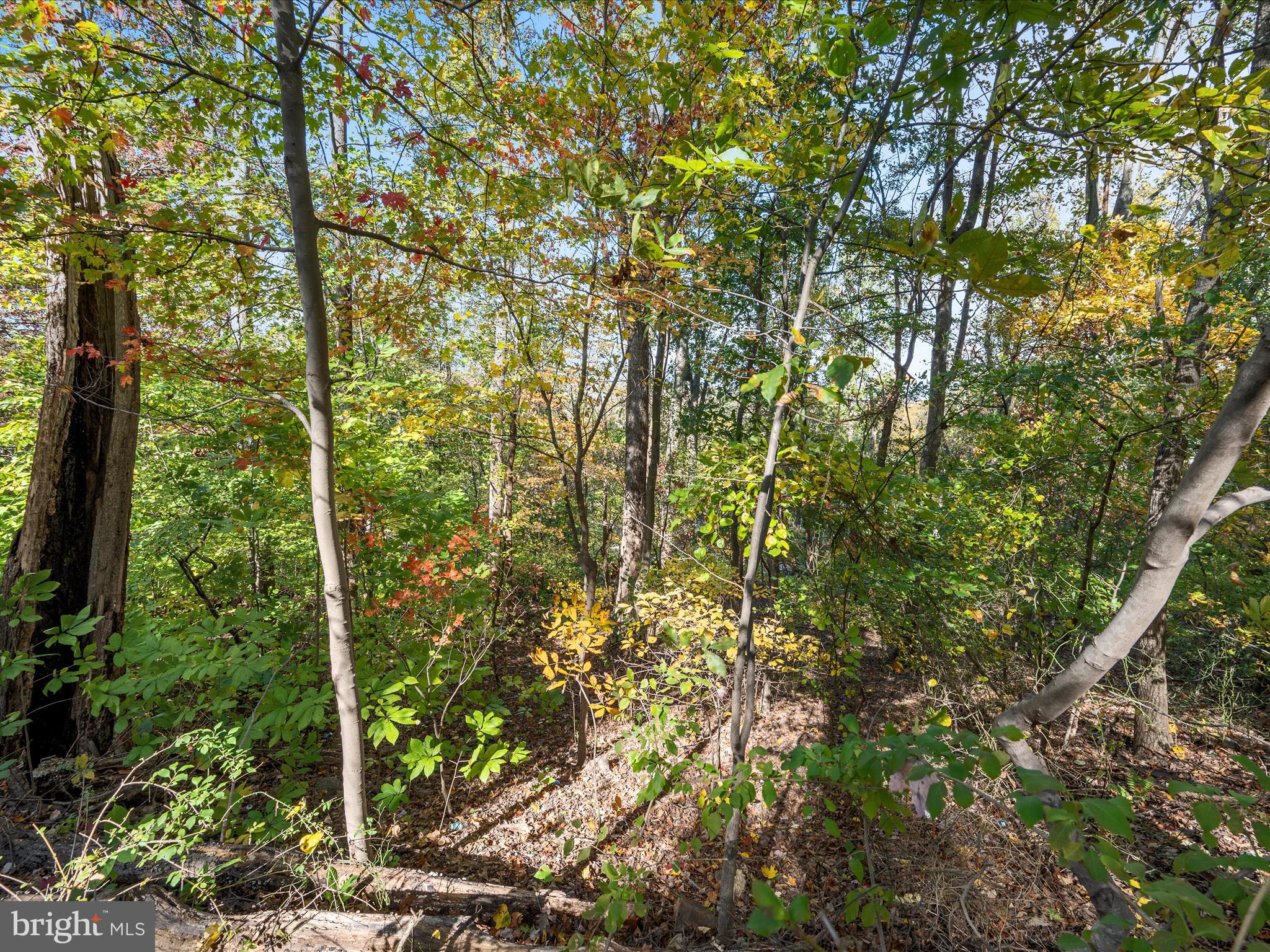 2-3 Wolfe Hill Road Harpers Ferry, WV 25425 - Photo 6 of 12 Lot Landscape