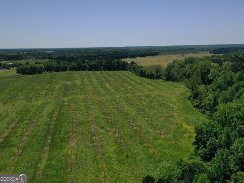 302 East Flournoy Road Hawkinsville, GA 31036 - Photo 14 of 20 a view of a field with an ocean