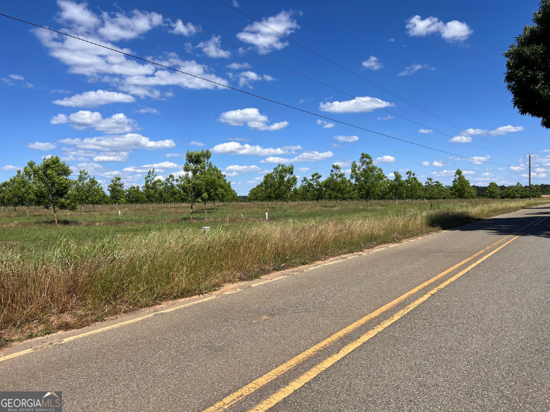 302 East Flournoy Road Hawkinsville, GA 31036 - Photo 15 of 20 a view of a lake with houses in the back