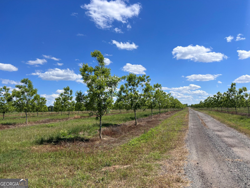 302 East Flournoy Road Hawkinsville, GA 31036 - Photo 18 of 20 a view of a house with a yard