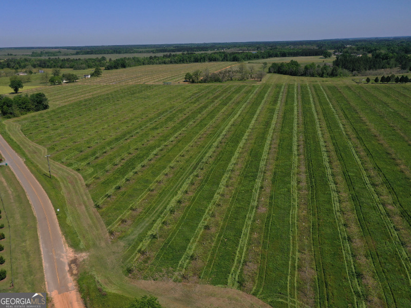 302 East Flournoy Road Hawkinsville, GA 31036 - Photo 4 of 20 a view of an outdoor space and a lake view