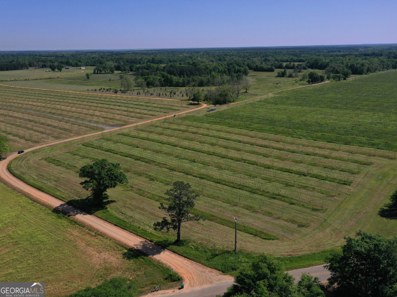 302 East Flournoy Road Hawkinsville, GA 31036 - Photo 5 of 20 a view of a field with outside area