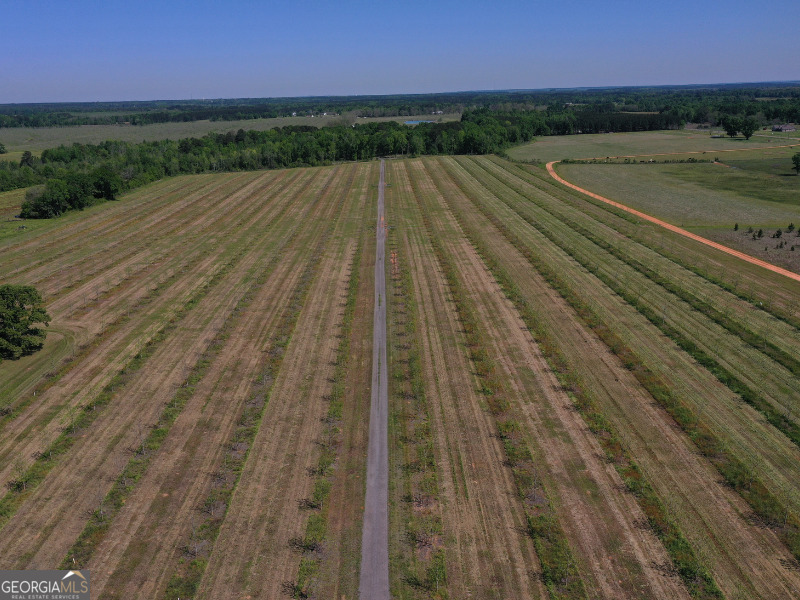 302 East Flournoy Road Hawkinsville, GA 31036 - Photo 7 of 20 a view of an outdoor space and a yard