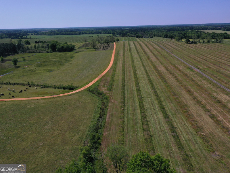 302 East Flournoy Road Hawkinsville, GA 31036 - Photo 8 of 20 a view of a lake and a yard