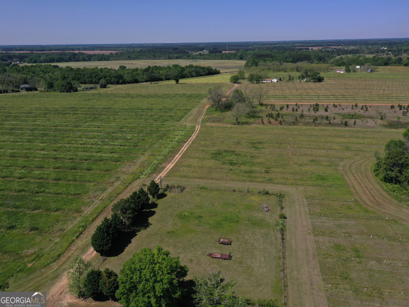 302 East Flournoy Road Hawkinsville, GA 31036 - Photo 10 of 20 a view of a lake with a yard